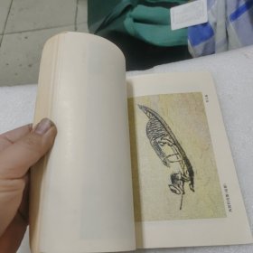 中国画人物画法