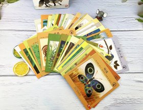 小小自然图书馆