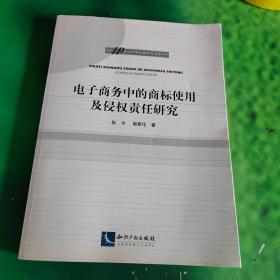 IP知识产权专题研究书系：电子商务中的商标使用及侵权责任研究