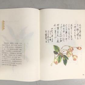 百花谱(尘封百年，珍贵手绘稿首次公开出版。)