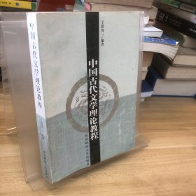 中国古代文学理论教程（王思琨）