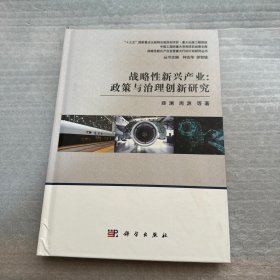 战略性新兴产业:政策与治理创新研究