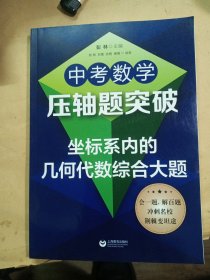 中考数学压轴题突破 生标系内的几何代数综合大题