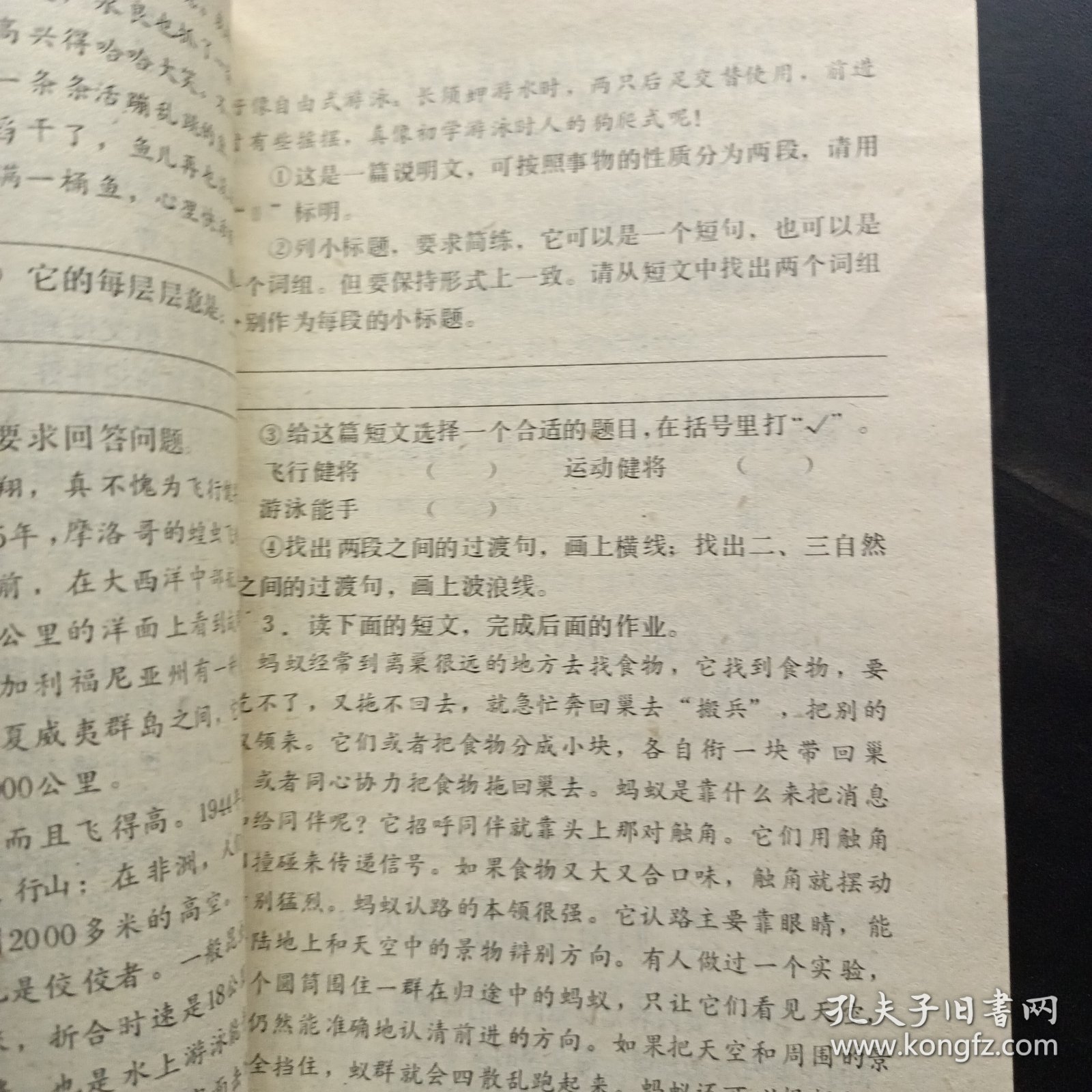 小学语文总复习测试