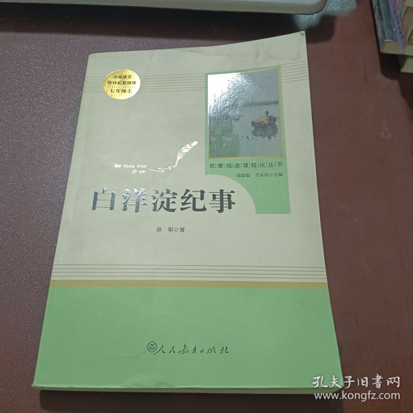 白洋淀纪事 名著阅读课程化丛书（统编语文教材配套阅读）七年级上