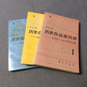 历史在这里沉思1一3 :1966一1976年记实