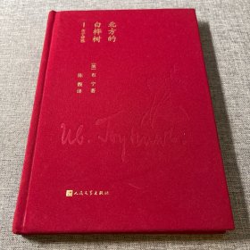北方的白桦树（蓝色花诗丛）