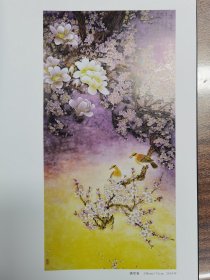 满新建画集