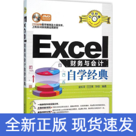 Excel财务与会计自学经典