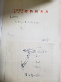 徐锦堂（1929年6月12日—2021年5月23日），汉族，出生于山西太原，籍贯山西五台，中共党员。中国天麻之父，药用植物学家，中国医学科学院学部委员，北京协和医学院一级教授、研究员  70年代信札两通4页