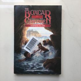 The Boxcar Children Mysteries #2 Surprise Island 棚车少年2：奇异岛