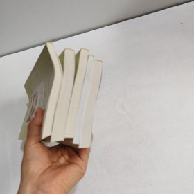 大家小书洋经典5本合售：小毛驴之歌，安妮日记，书画人，磨坊文札，与里科克一起笑