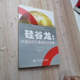 硅谷龙：中国如何打赢高技术竞赛