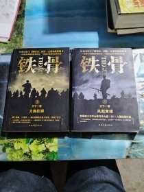 铁骨1：风起黄埔，3：力挽狂澜，共计2册合售