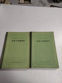 正常人体解剖学 （上下 ） 1956年 2本合售