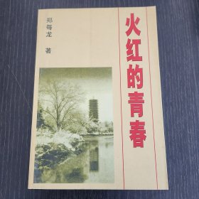 火红的青春