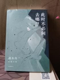 此时不必问去哪里（80后文学领军作家独木舟暌违五年，2020长篇力作）