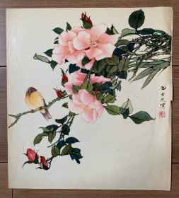 田世光《花鸟》，五六十年代老画片