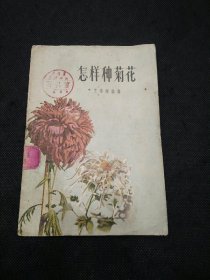 怎样种菊花（1956年1版1印）