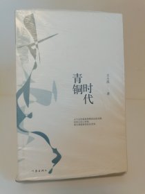 王小波时代三部曲：青铜时代