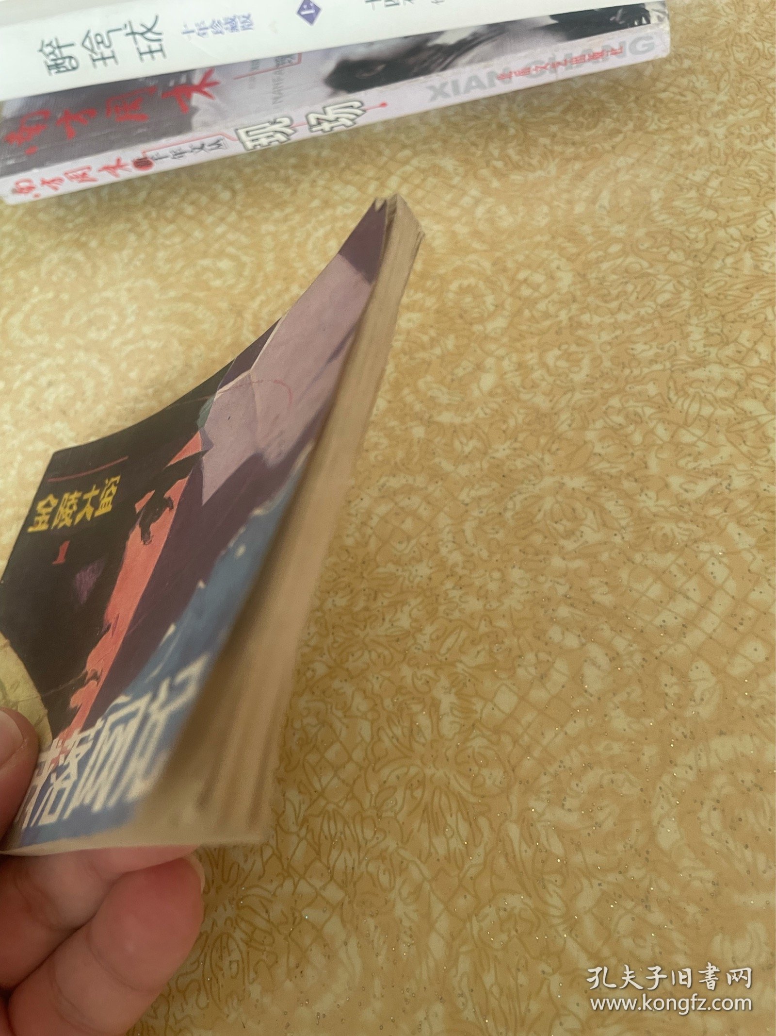 连环画：女贼落网记《金陵大盗》之一