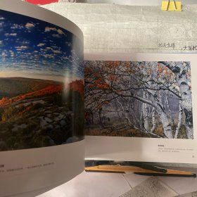 阿斯哈图石林 : 王义阿斯哈图石林摄影作品集（中国摄影社版2014年一版一印，8开铜版纸全彩印刷）