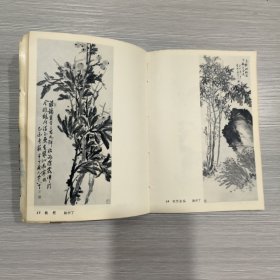 现代花鸟画选(32开)64年1印