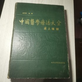 中国医学疗法大全