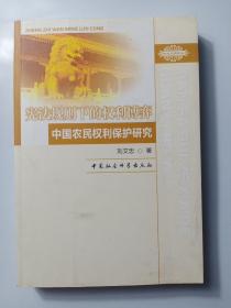 宪法规则下的权利博弈：中国农民权利保护研究