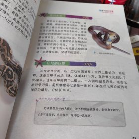 海洋中的巨无霸