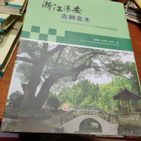 浙江淳安古树名木【全新