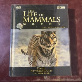 BBC经典纪录片 哺乳类前传（6碟 DVD光盘）
