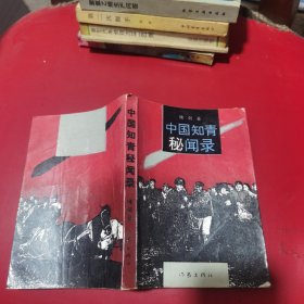 中国知青秘闻录