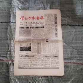 劳动力市场报1996年3月29日