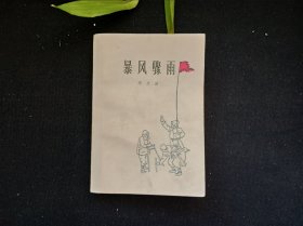 暴风骤雨
