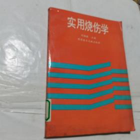 實用燒傷學(xué)