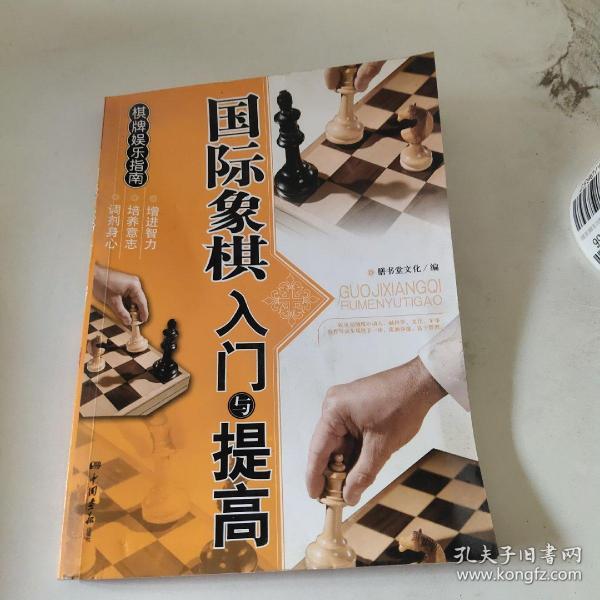 棋牌娱乐指南：国际象棋入门与提高