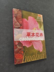 草本花卉