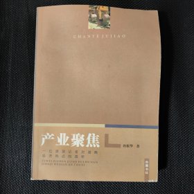 产业聚焦:一位资深记者对湖南经济热点的透析