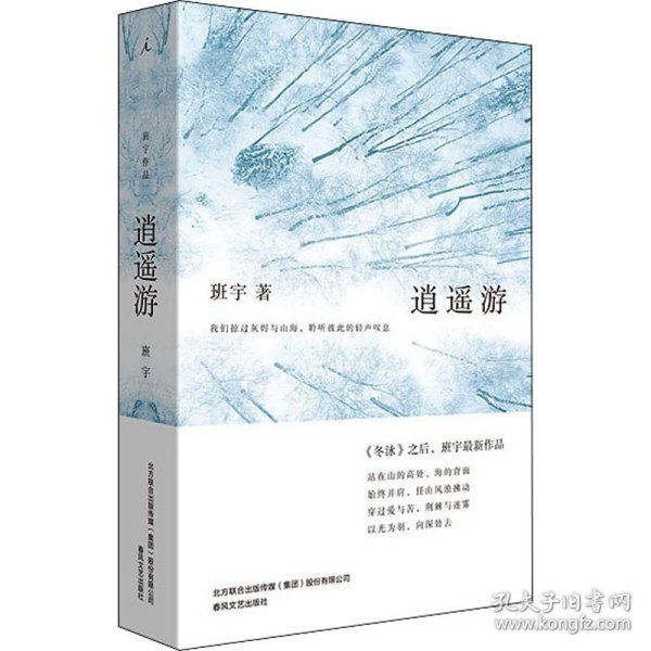 逍遥游（《冬泳》作者班宇最新作品，同名小说列收获文学排行榜短篇榜首）