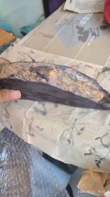 有冻岩端砚(冻很大,有金钱活眼。看着像恐龙的头,又像条鱼。反面亦像鱼)