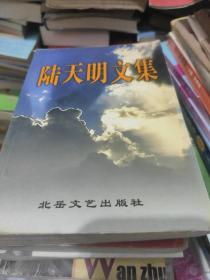 陆天明文集