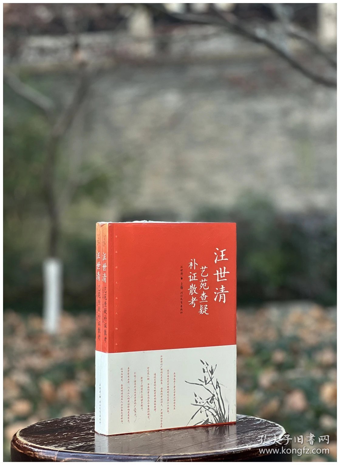 艺苑查疑补证散考（上下）汪世清著