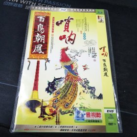 全新未拆封，《唢呐 百鸟朝凤等200首》DVD，銀声音像出版社出版发行