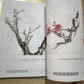 写意花卉画法 + 写意梅兰竹菊画法 （2本合售）