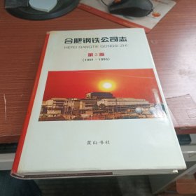 合肥钢铁公司志第3卷1991-1995
