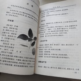 偏方大全 小偏方治大病