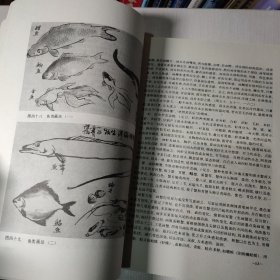 （满包邮）美术教材丛书：花鸟画基础技法