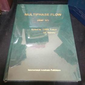 MULTIPHASE FLOW