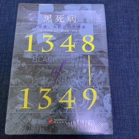 黑死病：大灾难、大死亡与大萧条（1348—1349）